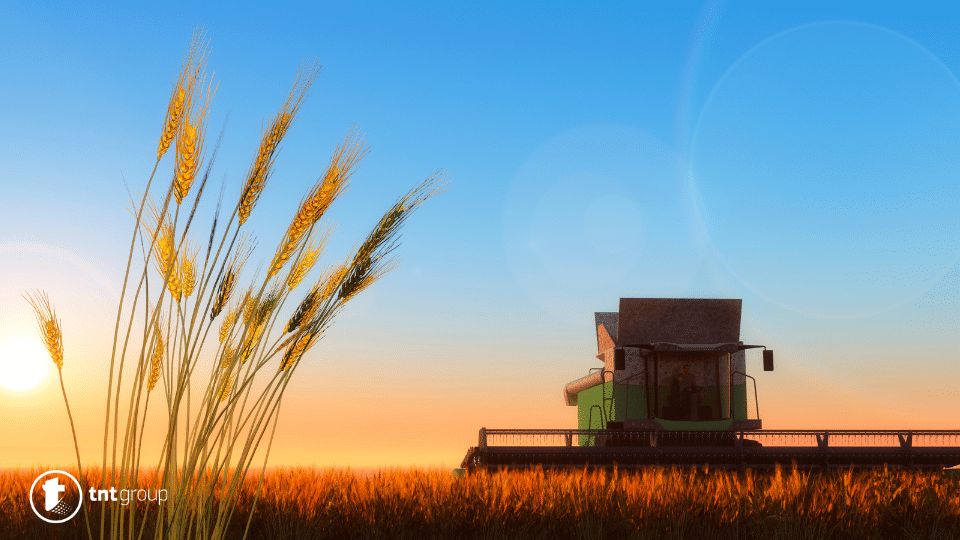 Harvest Dream Meaning and Interpretation