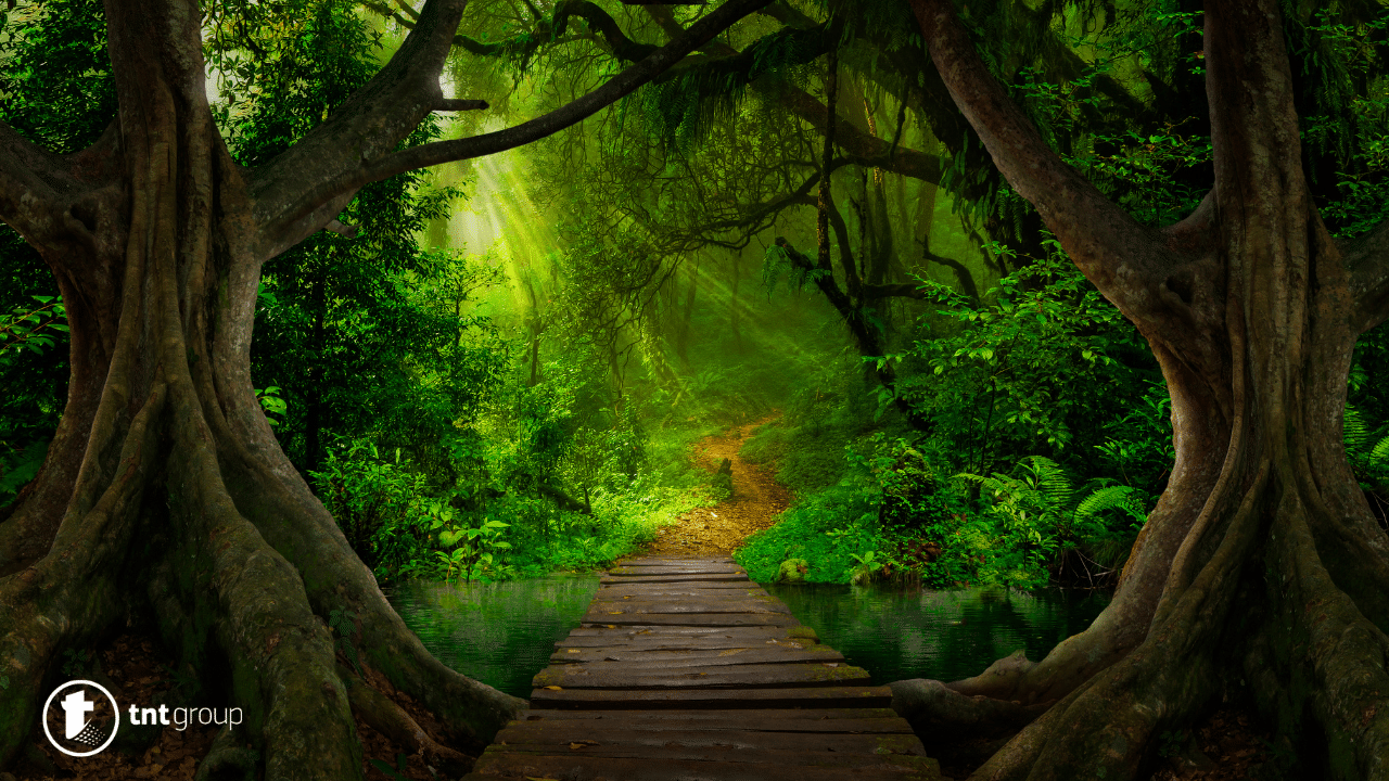 Jungle Dream Meaning 13 Best Meanings and Symbolisms