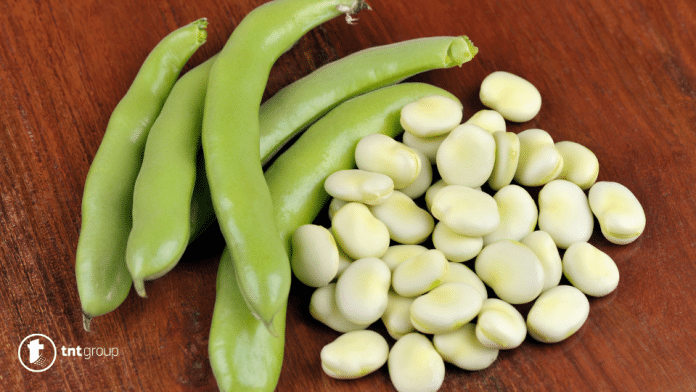 Broad beans in dream