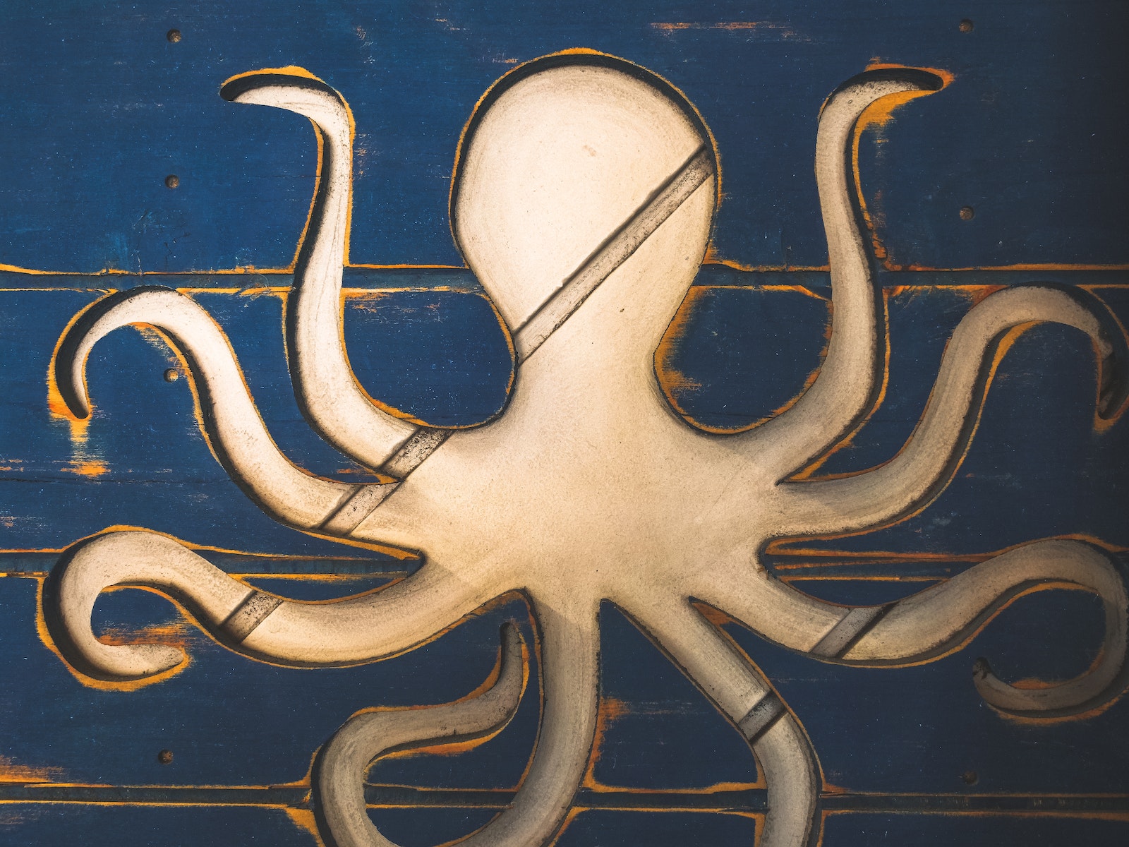 Octopus in dream 25 Best Meanings and Symbolisms