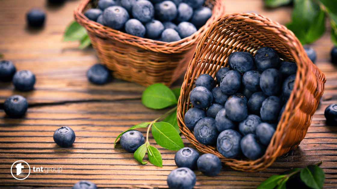 Blueberries in dream 18 Best Meanings and Symbolisms